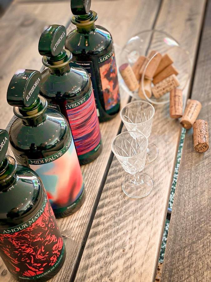 Vins De Dagne Hotel Montlaur  Eksteriør billede